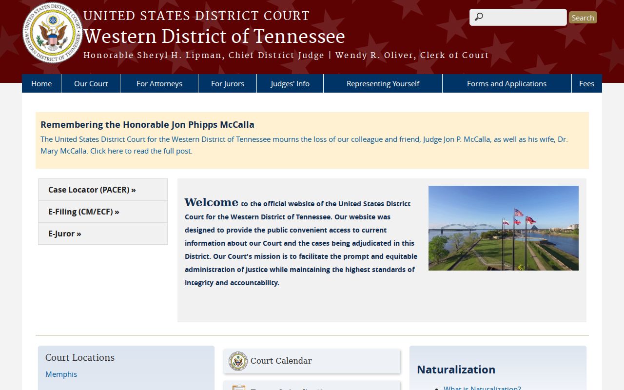 Decatur County criminal records Western District of Tennessee